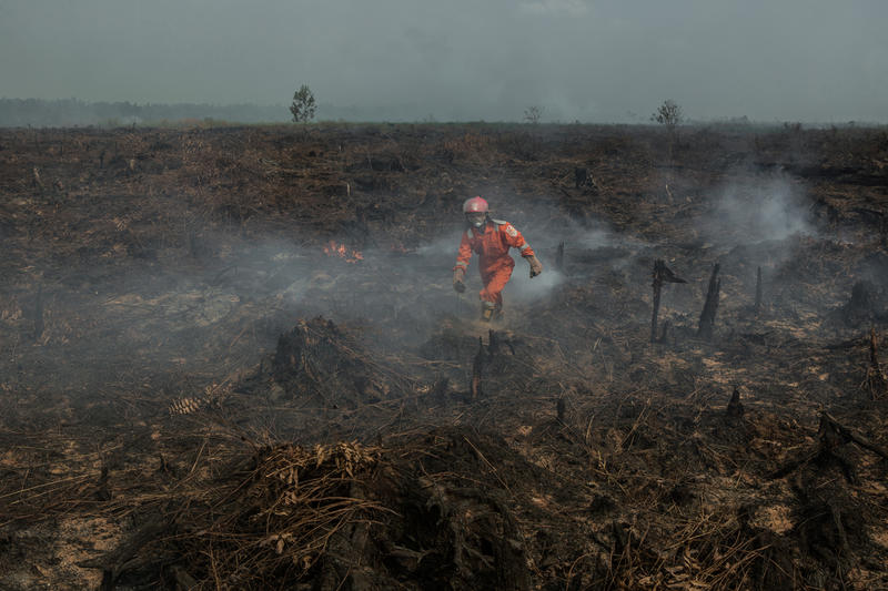 Kebakaran Lahan Terjadi di Areal Pemasok Sawit untuk Perusahaan Merek Ternama Dunia