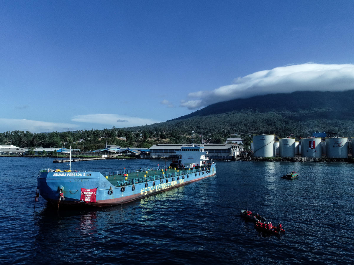 Greenpeace: Rencana Aksi Terbaru Wilmar Tidak akan Memperbaiki Masalah Deforestasi