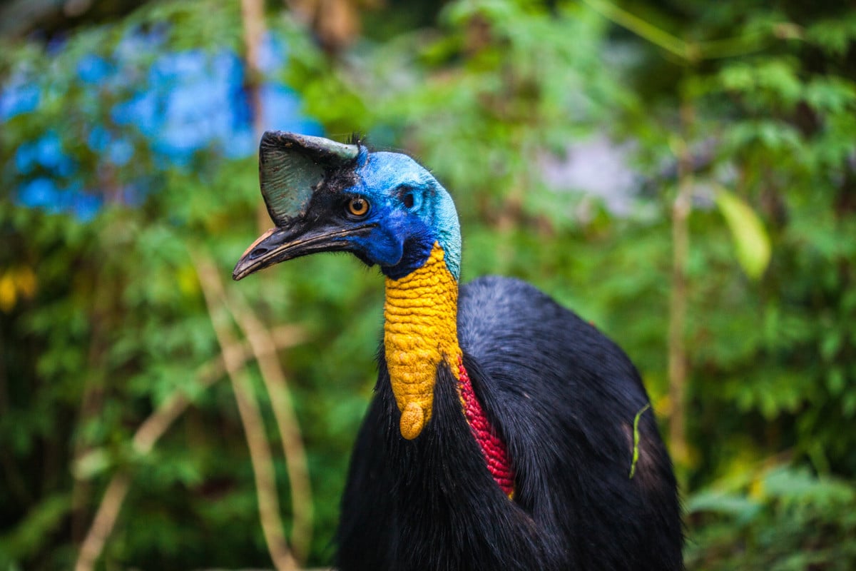 Tiga Negara Hutan Tropis Terbesar Teken Kesepakatan, Apa yang Jadi Catatan?