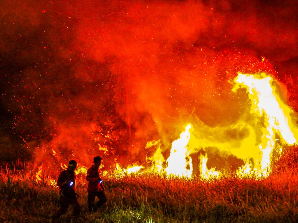 Record-breaking deforestation registered in the Amazon ahead of presidential elections in Brazil